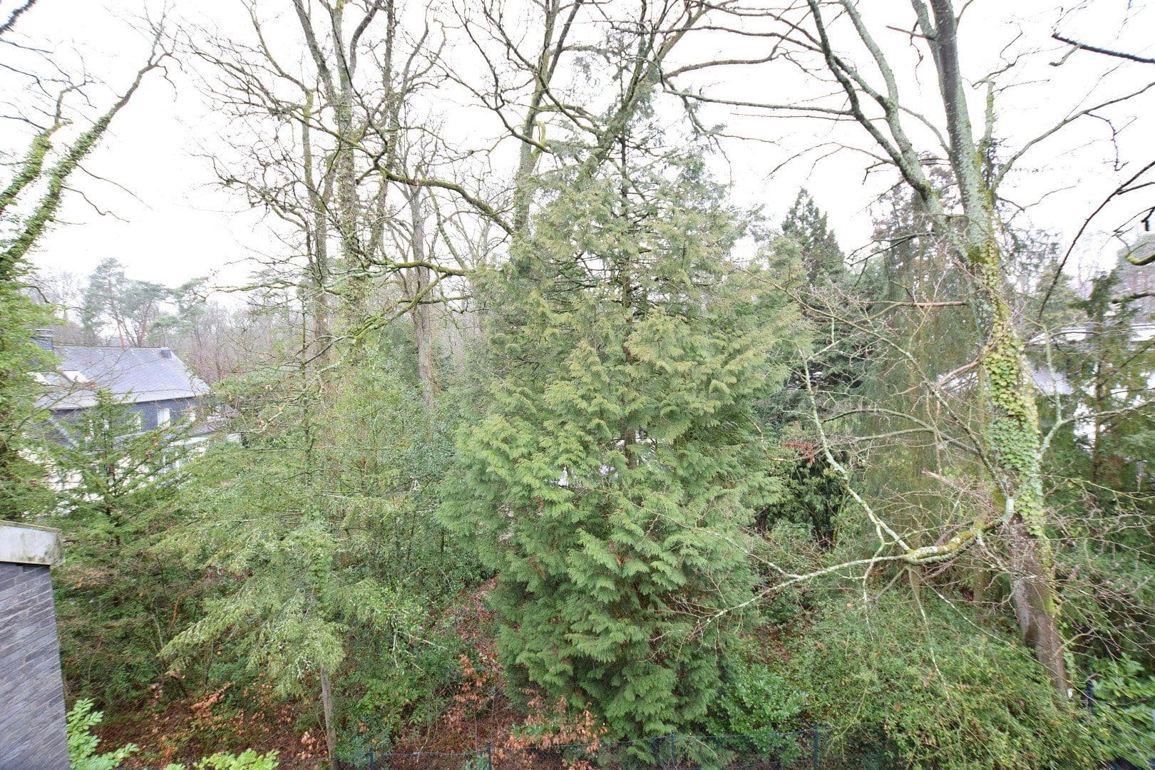 Pronájem bytu 2+kk 135 m², Bergisch Gladbach, Severní Porýní-Vestfálsko Pronájem bytu 2+kk 135 m², Bergisch Gladbach, Severní Porýní-Vestfálsko