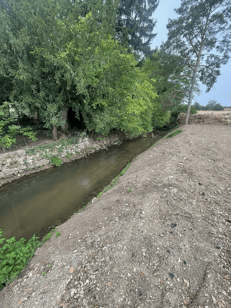Prodej domu 171 m², pozemek 349 m², Obrigheim (Pfalz), Porýní-Falc Prodej domu 171 m², pozemek 349 m², Obrigheim (Pfalz), Porýní-Falc