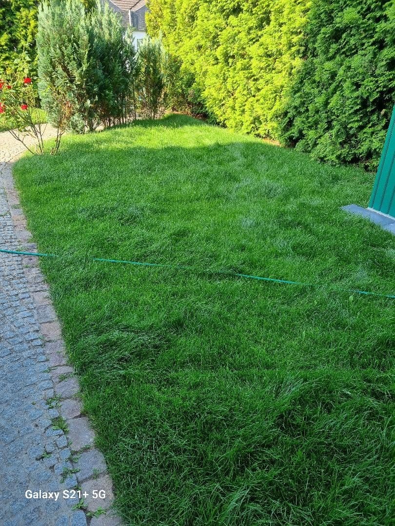 Pronájem domu 186 m², pozemek 384 m², Leverkusen, Severní Porýní-Vestfálsko Pronájem domu 186 m², pozemek 384 m², Leverkusen, Severní Porýní-Vestfálsko