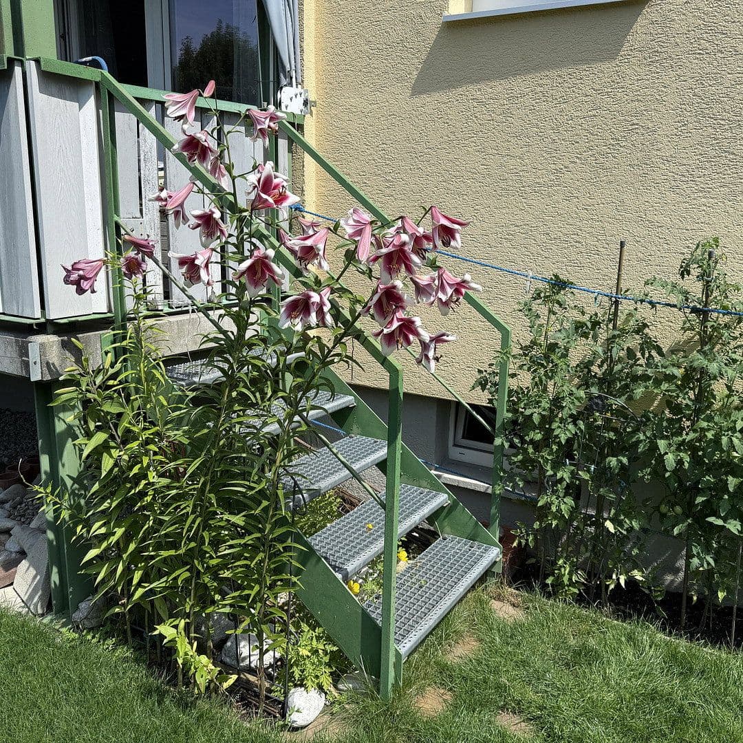 Prodej bytu 3+1 85 m², Am Lettenholz 16, Bad Tölz, Bavorsko Prodej bytu 3+1 85 m², Am Lettenholz 16, Bad Tölz, Bavorsko