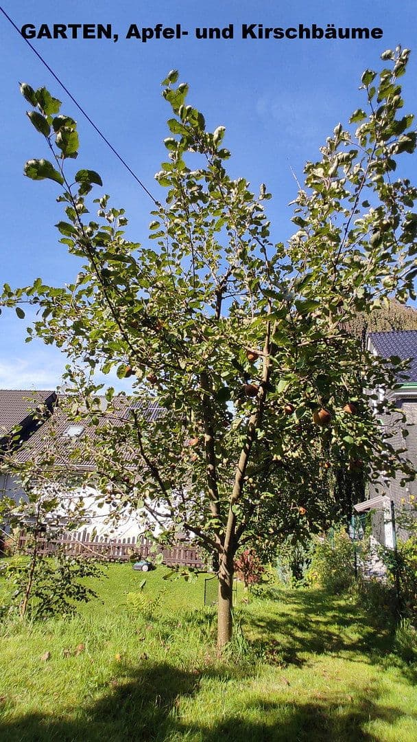 Prodej domu 157 m², pozemek 470 m², Ronsdorfer Str. 12a, Remscheid-Hasten, Severní Porýní-Vestfálsko Prodej domu 157 m², pozemek 470 m², Ronsdorfer Str. 12a, Remscheid-Hasten, Severní Porýní-Vestfálsko