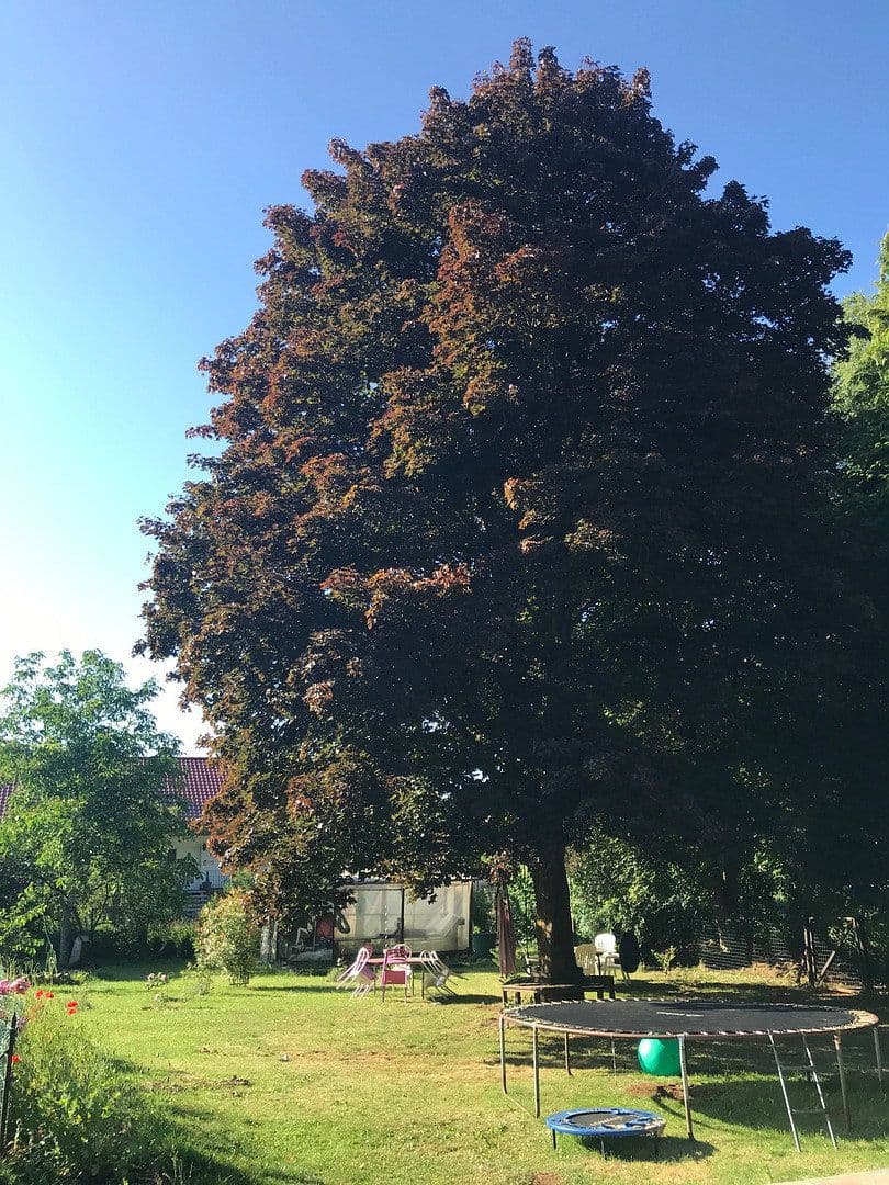 Prodej domu 400 m², pozemek 1.980 m², Vogelsbergstrasse, 48, Ulrichstein, Hessen Prodej domu 400 m², pozemek 1.980 m², Vogelsbergstrasse, 48, Ulrichstein, Hessen