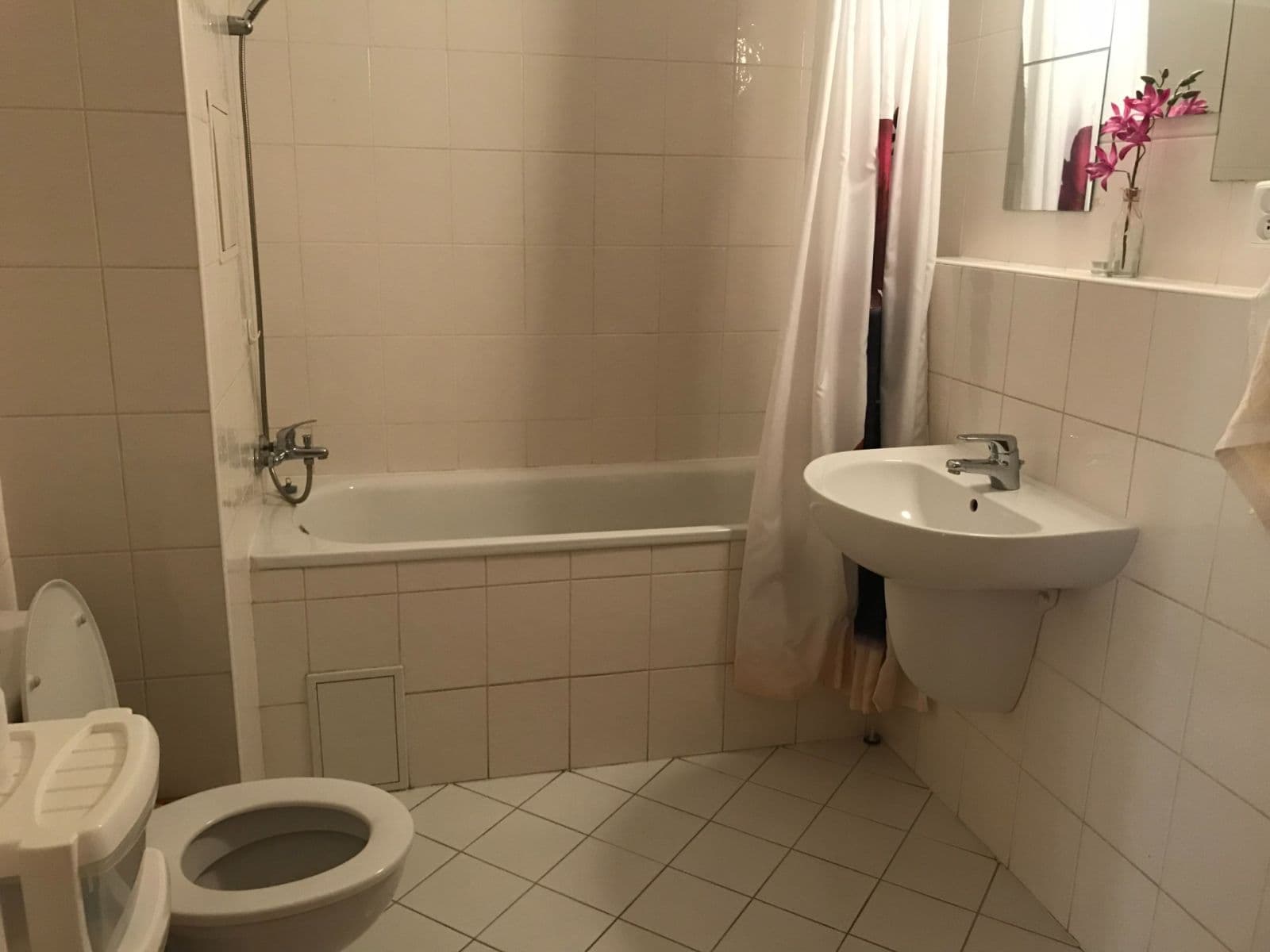Pronájem bytu 1+kk 45 m², Na Palouku, Praha, Praha Pronájem bytu 1+kk 45 m², Na Palouku, Praha, Praha