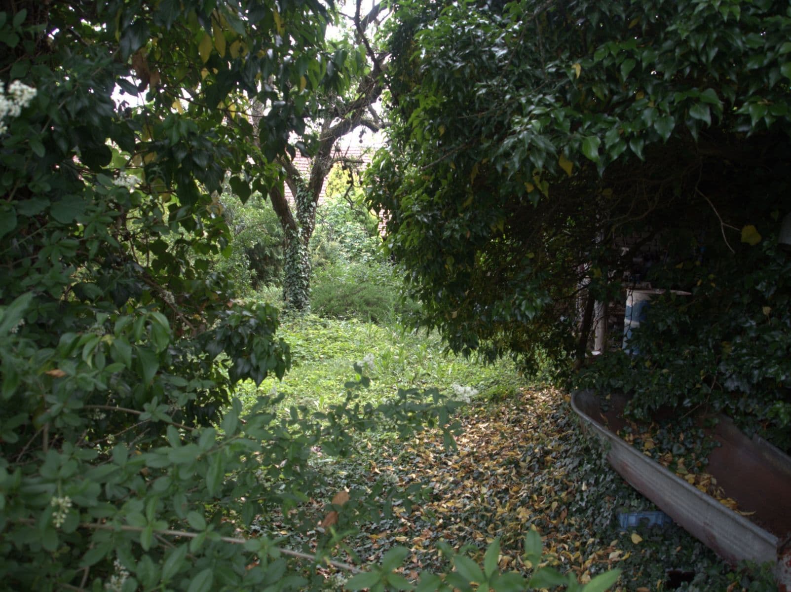 Prodej domu 112 m², pozemek 1.361 m², Masarykova, Klobouky u Brna, Jihomoravský kraj Prodej domu 112 m², pozemek 1.361 m², Masarykova, Klobouky u Brna, Jihomoravský kraj
