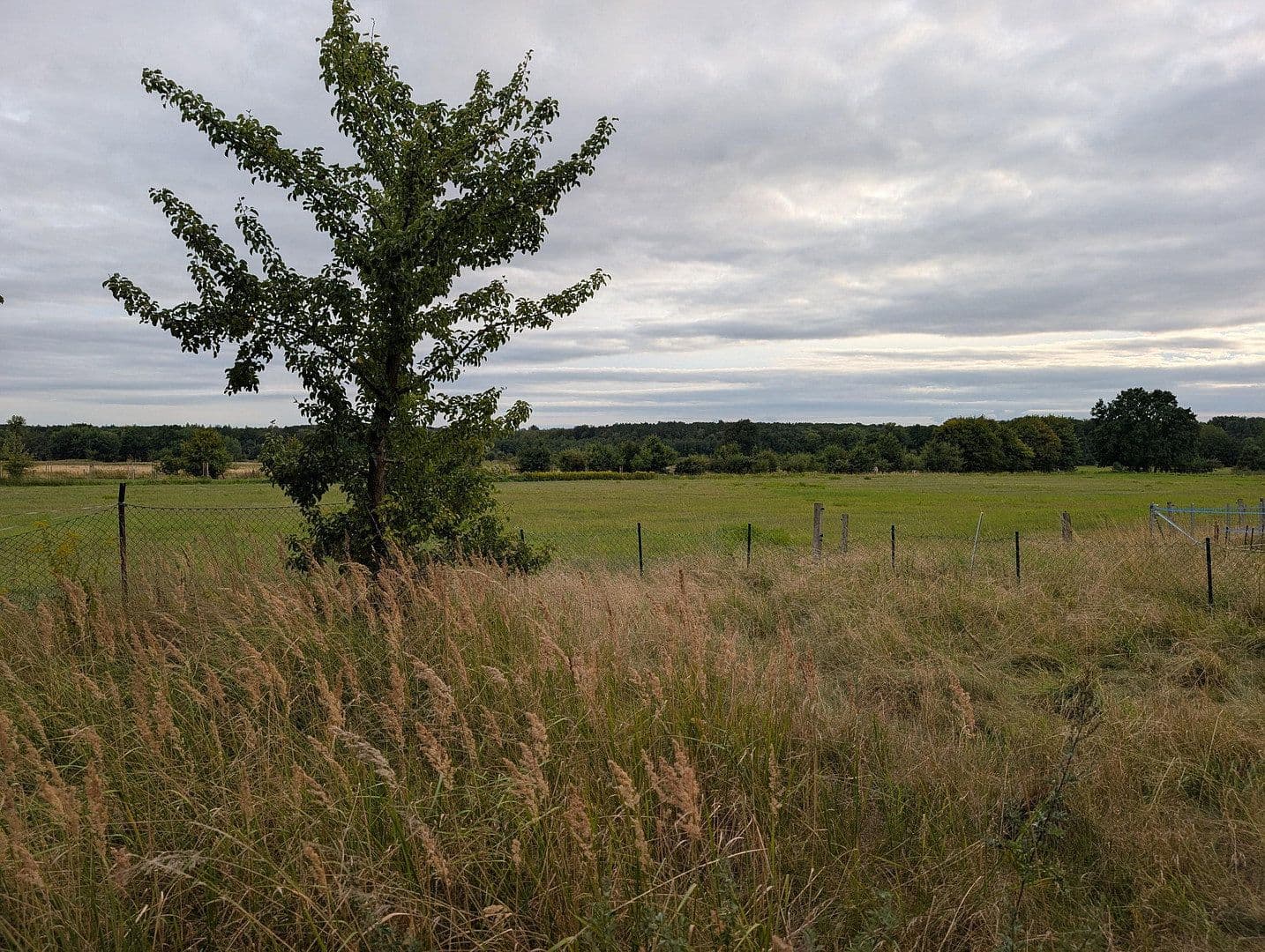 Prodej pozemku 2.060 m², Braunschweig, Dolní Sasko Prodej pozemku 2.060 m², Braunschweig, Dolní Sasko