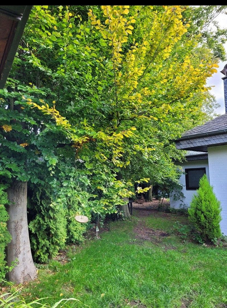 Prodej domu 141 m², pozemek 840 m², Neuenberger Straße, Neuss, Severní Porýní-Vestfálsko Prodej domu 141 m², pozemek 840 m², Neuenberger Straße, Neuss, Severní Porýní-Vestfálsko