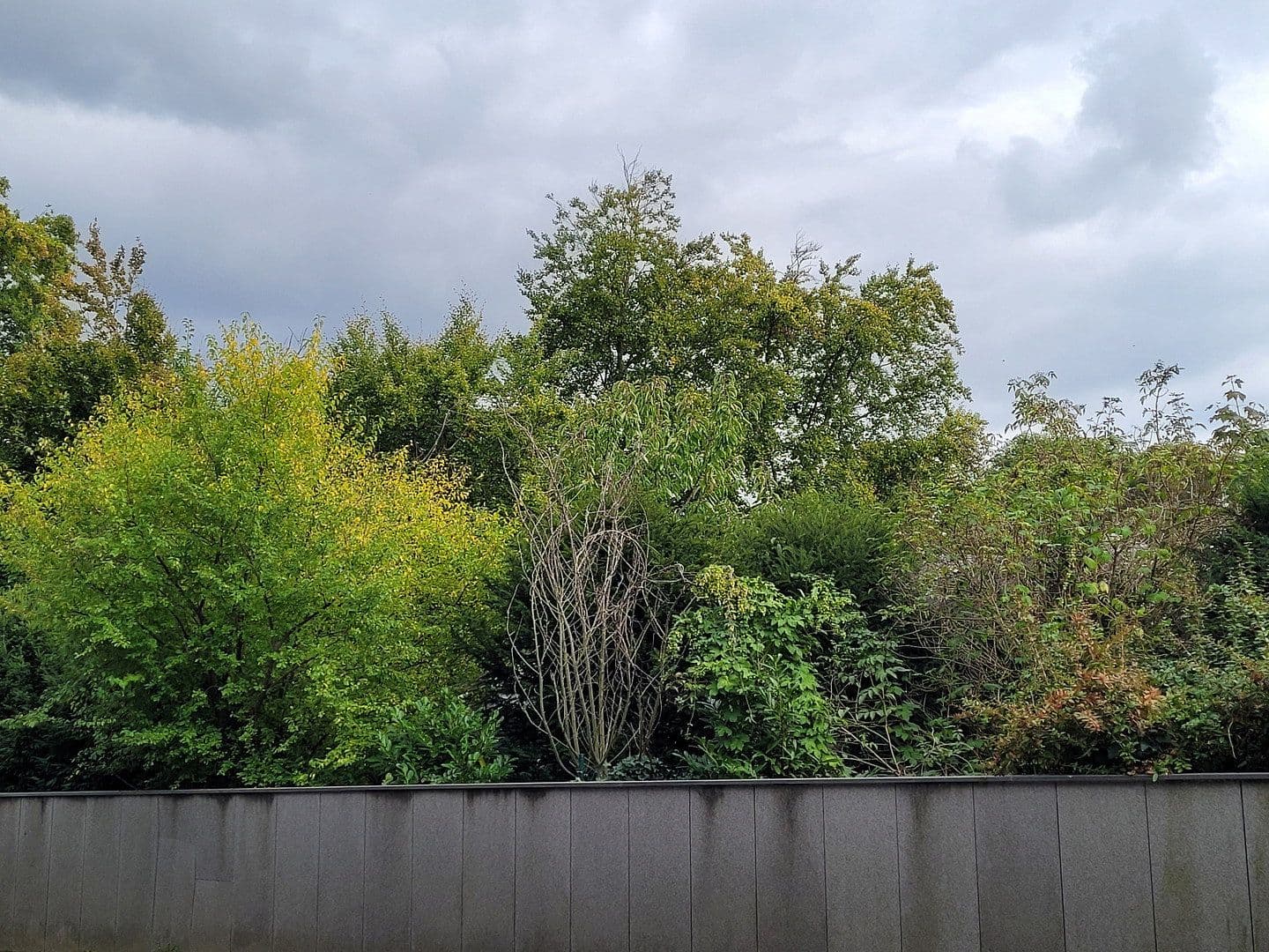 Prodej domu 141 m², pozemek 840 m², Neuenberger Straße, Neuss, Severní Porýní-Vestfálsko Prodej domu 141 m², pozemek 840 m², Neuenberger Straße, Neuss, Severní Porýní-Vestfálsko