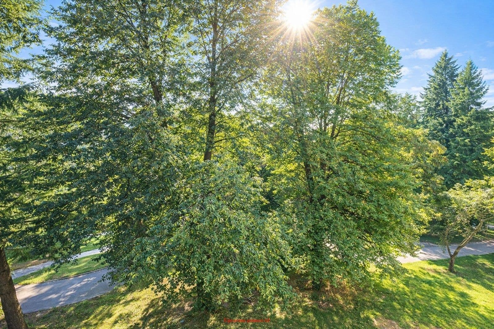 Pronájem bytu 2+1 55 m², Matuškova, Havířov, Moravskoslezský kraj Pronájem bytu 2+1 55 m², Matuškova, Havířov, Moravskoslezský kraj