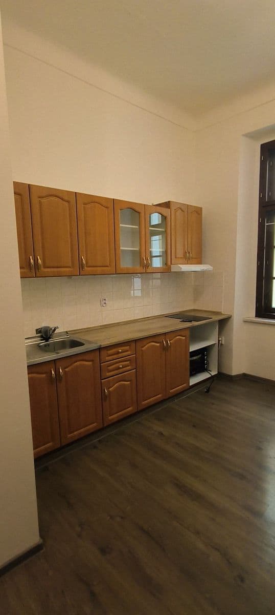 Pronájem bytu 1+1 42 m², Dolní náměstí, Olomouc, Olomoucký kraj Pronájem bytu 1+1 42 m², Dolní náměstí, Olomouc, Olomoucký kraj