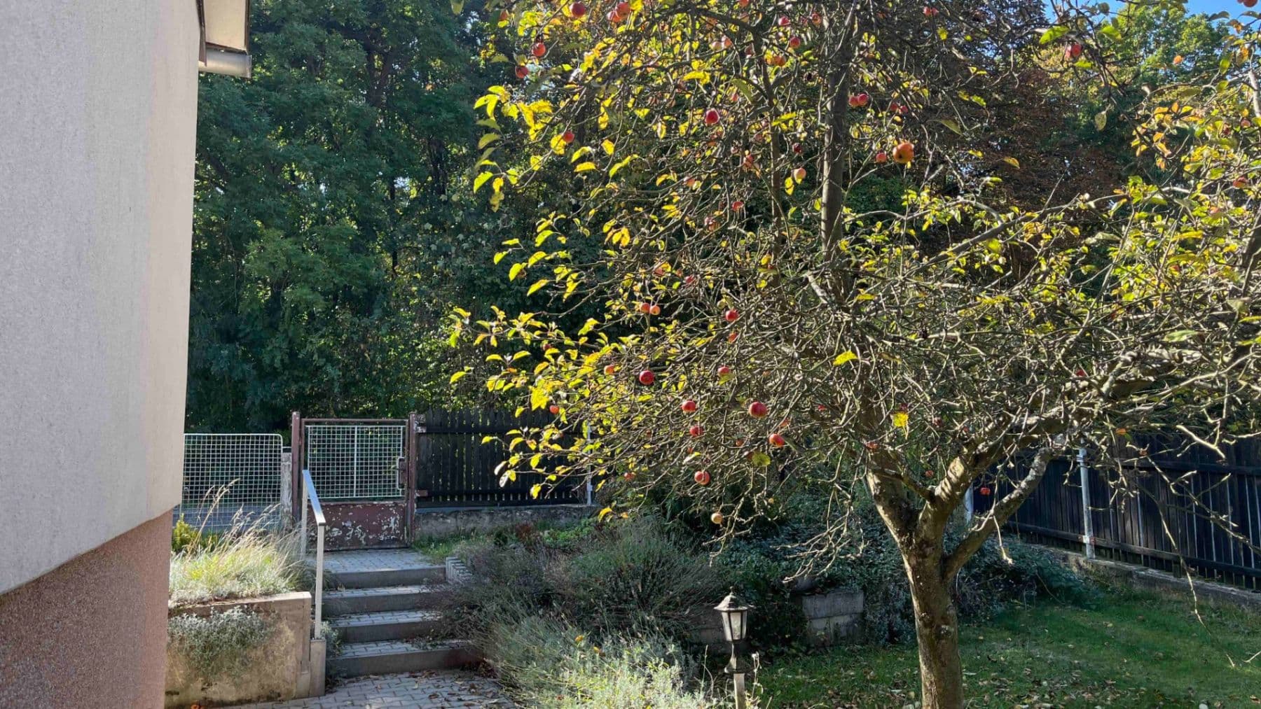 Prodej domu 104 m², pozemek 896 m², Lesní, Lány, Středočeský kraj Prodej domu 104 m², pozemek 896 m², Lesní, Lány, Středočeský kraj