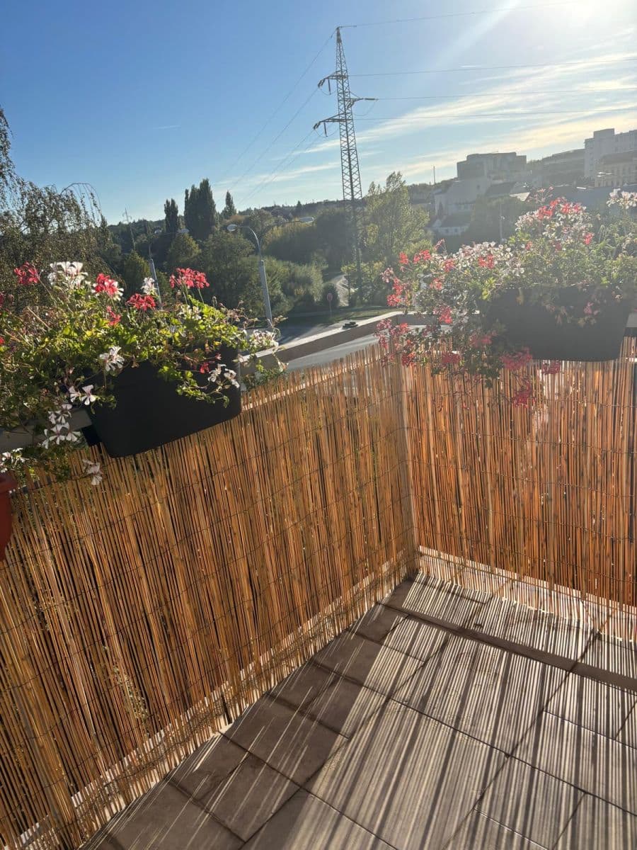 Pronájem bytu 2+kk 50 m², Květná, Plzeň, Plzeňský kraj Pronájem bytu 2+kk 50 m², Květná, Plzeň, Plzeňský kraj