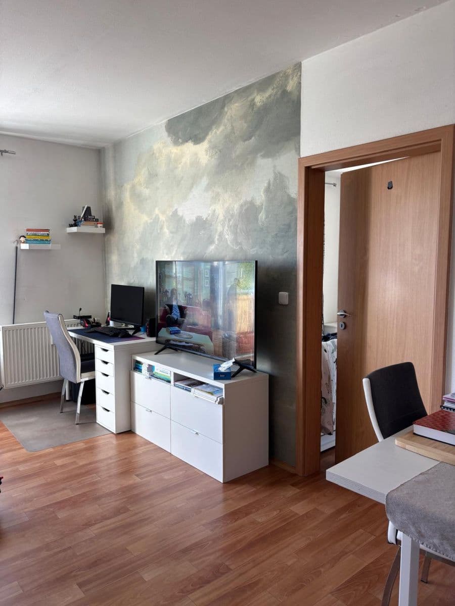 Pronájem bytu 2+kk 50 m², Květná, Plzeň, Plzeňský kraj Pronájem bytu 2+kk 50 m², Květná, Plzeň, Plzeňský kraj