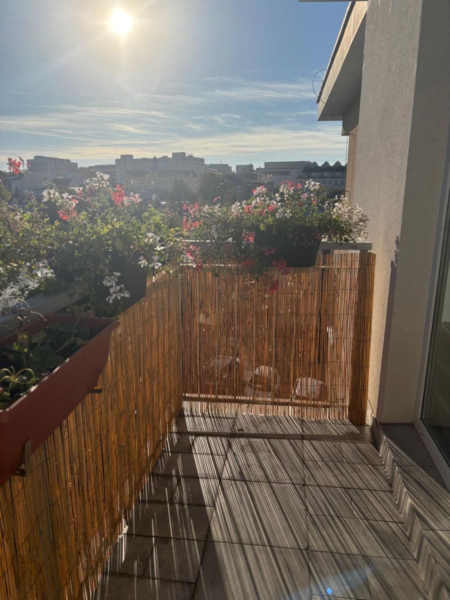 Pronájem bytu 2+kk 50 m², Květná, Plzeň, Plzeňský kraj Pronájem bytu 2+kk 50 m², Květná, Plzeň, Plzeňský kraj