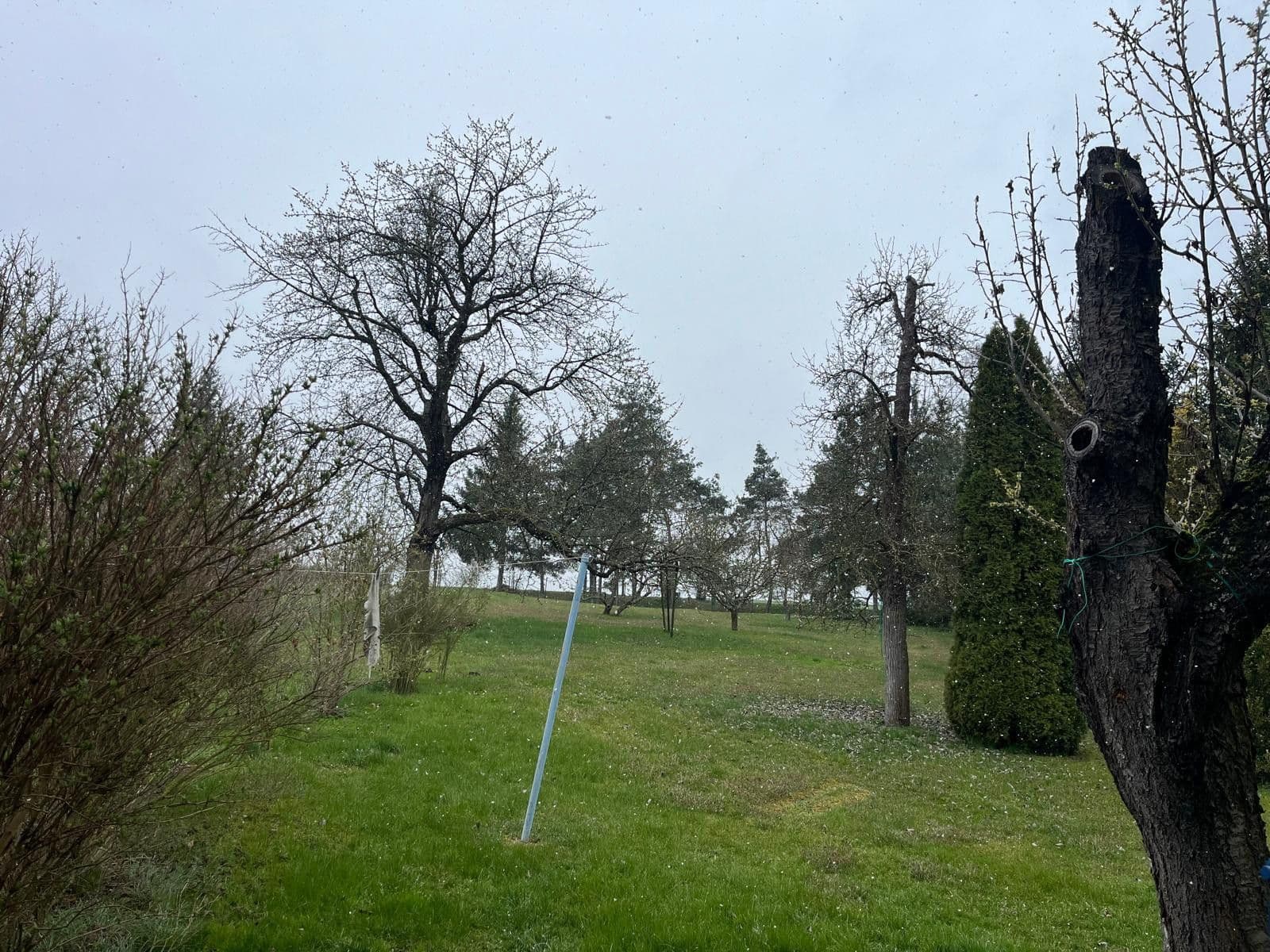 Prodej domu 100 m², pozemek 2.200 m², Březová, Středočeský kraj Prodej domu 100 m², pozemek 2.200 m², Březová, Středočeský kraj