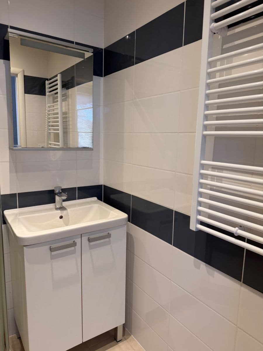 Pronájem bytu 2+1 50 m², Heyrovského, Brno, Jihomoravský kraj Pronájem bytu 2+1 50 m², Heyrovského, Brno, Jihomoravský kraj