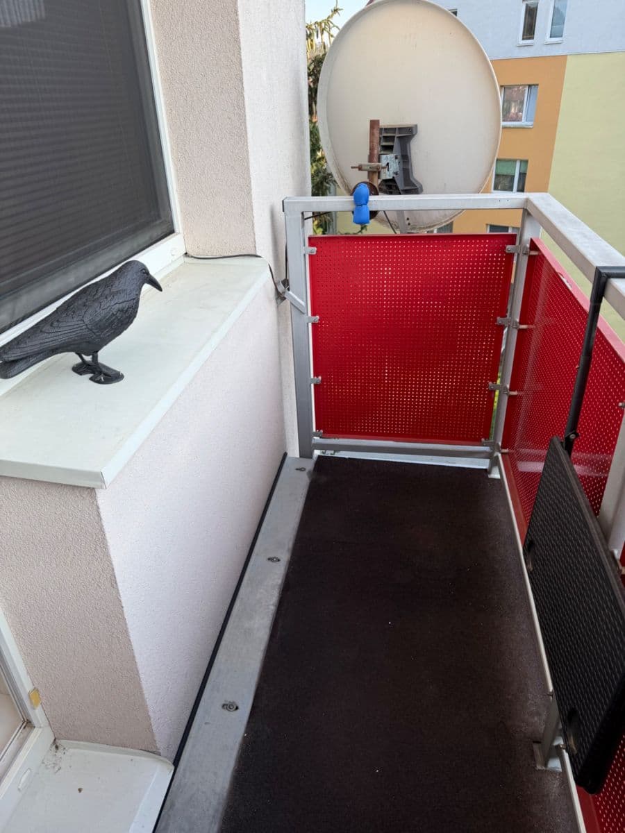 Pronájem bytu 2+1 50 m², Heyrovského, Brno, Jihomoravský kraj Pronájem bytu 2+1 50 m², Heyrovského, Brno, Jihomoravský kraj