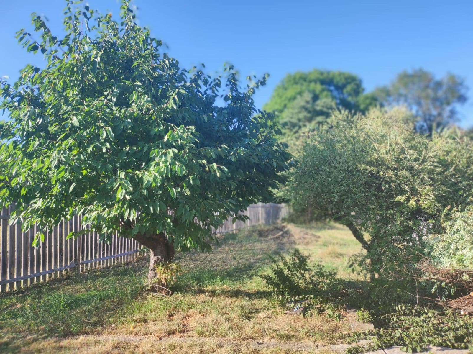 Prodej pozemku 500 m², Děčín, Ústecký kraj Prodej pozemku 500 m², Děčín, Ústecký kraj