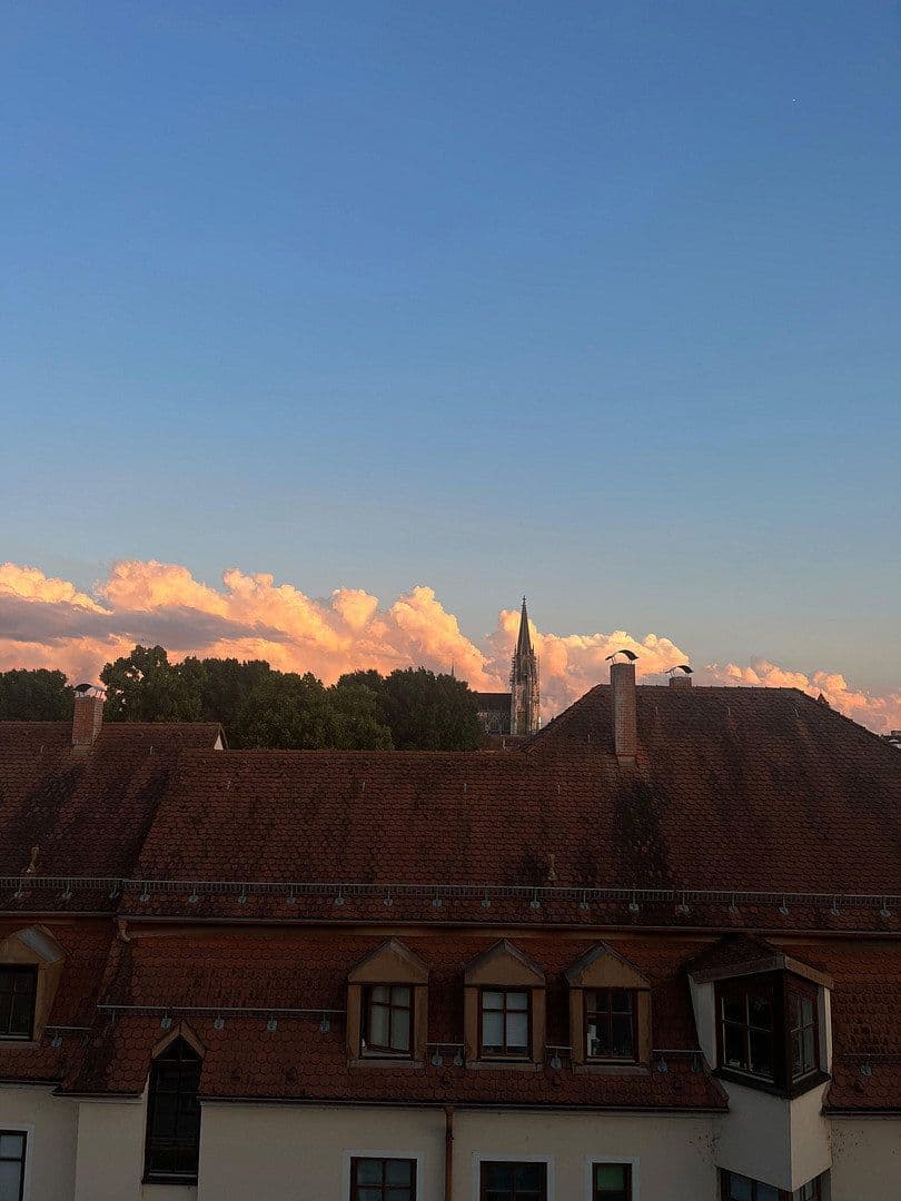 Pronájem bytu 2+1 55 m², Andreasstraße 1, Regensburg, Bavorsko Pronájem bytu 2+1 55 m², Andreasstraße 1, Regensburg, Bavorsko