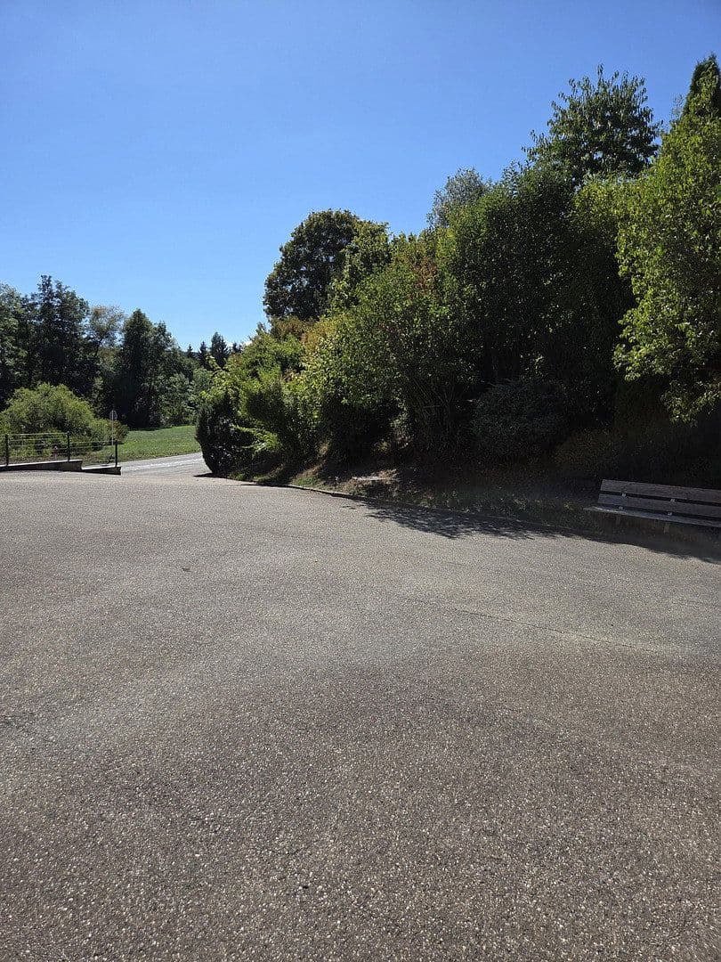 Prodej domu 260 m², pozemek 2.052 m², Niedereschach, Bádensko-Württembersko Prodej domu 260 m², pozemek 2.052 m², Niedereschach, Bádensko-Württembersko