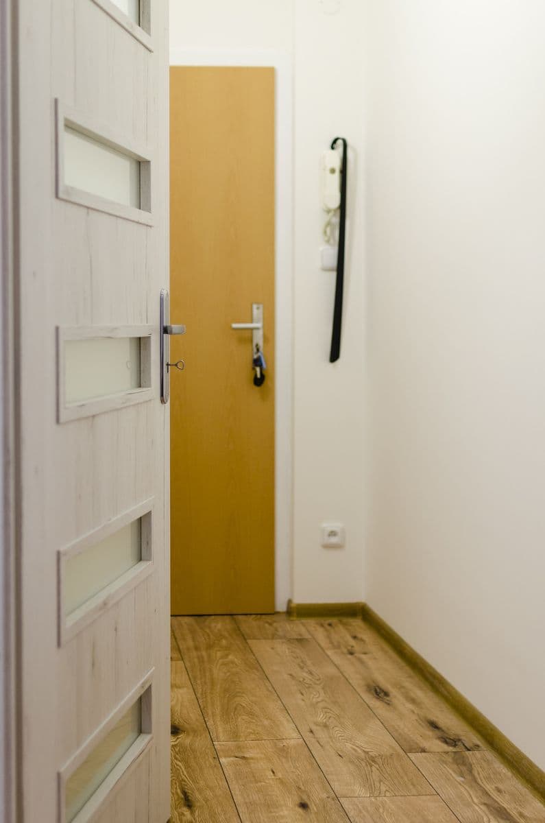 Pronájem bytu 1+1 34 m², Černého, Brno, Jihomoravský kraj Pronájem bytu 1+1 34 m², Černého, Brno, Jihomoravský kraj