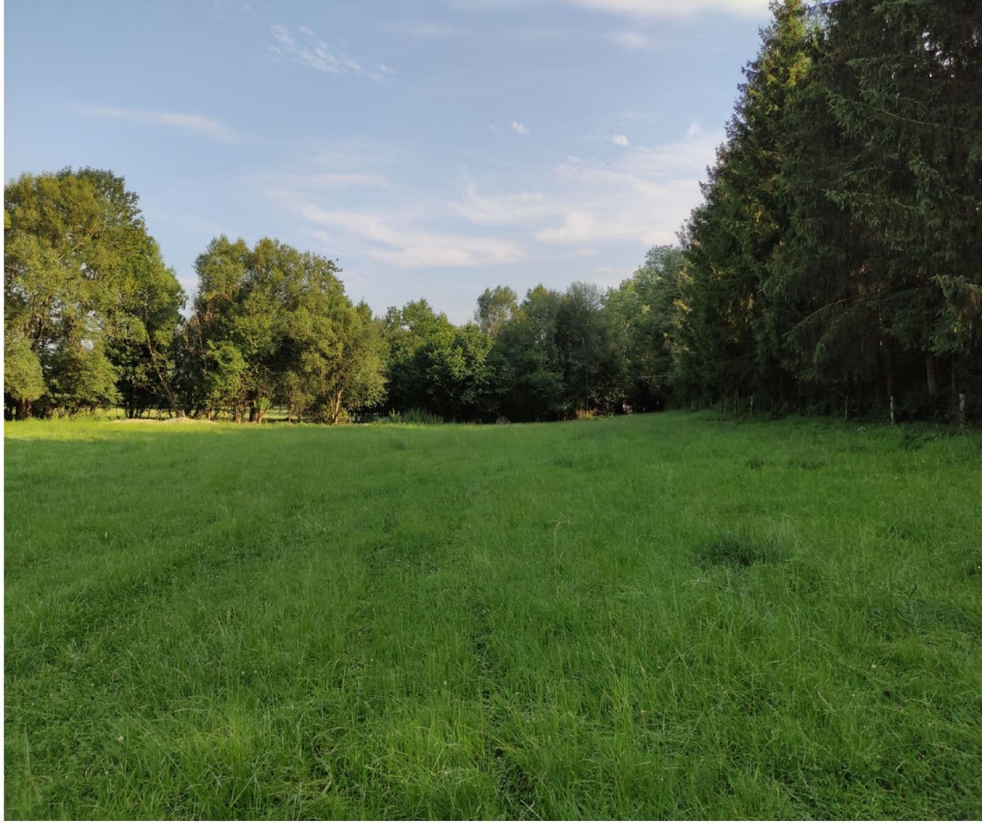 Prodej pozemku 3.974 m², Vysoké Mýto, Pardubický kraj Prodej pozemku 3.974 m², Vysoké Mýto, Pardubický kraj