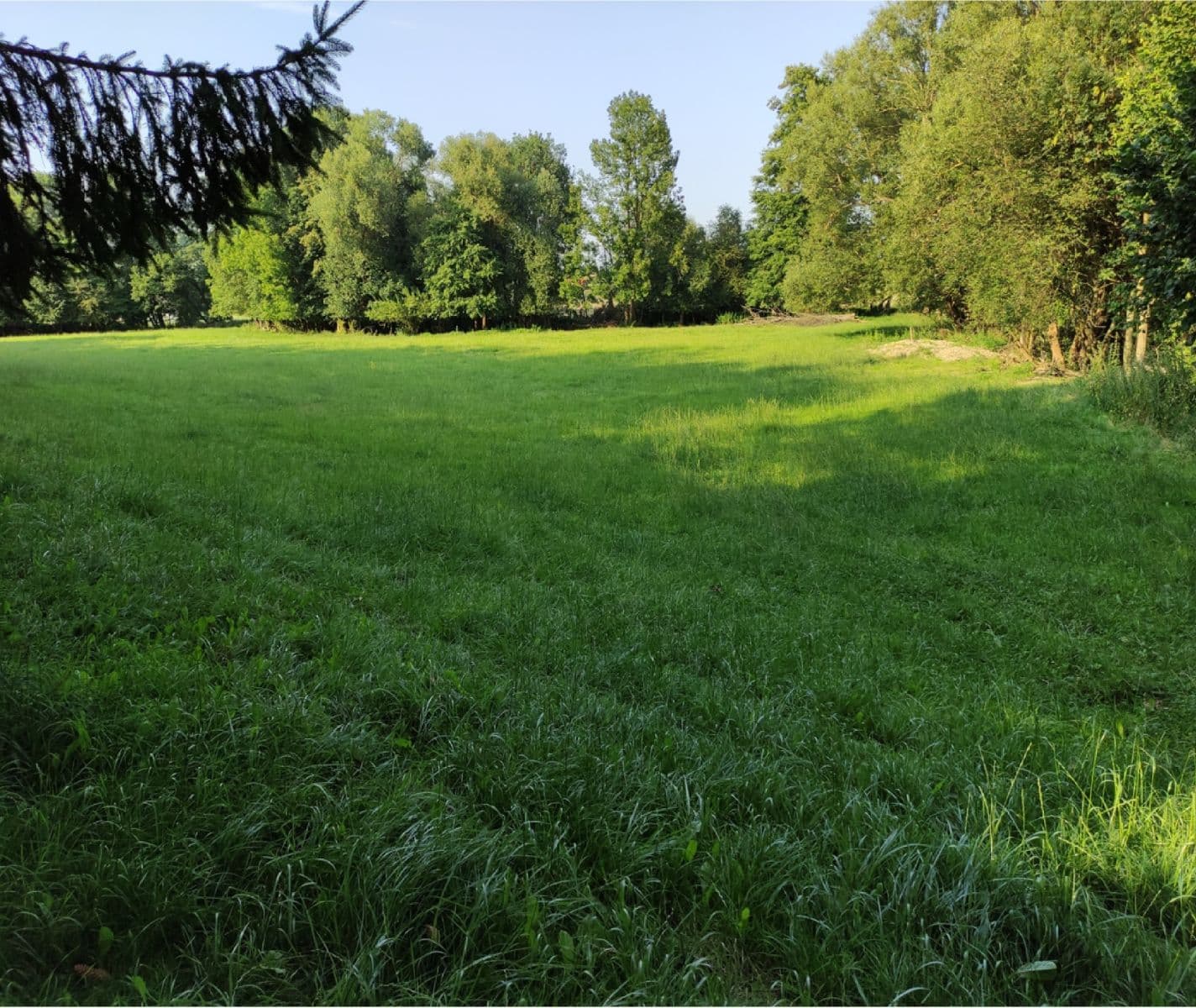 Prodej pozemku 3.974 m², Vysoké Mýto, Pardubický kraj Prodej pozemku 3.974 m², Vysoké Mýto, Pardubický kraj