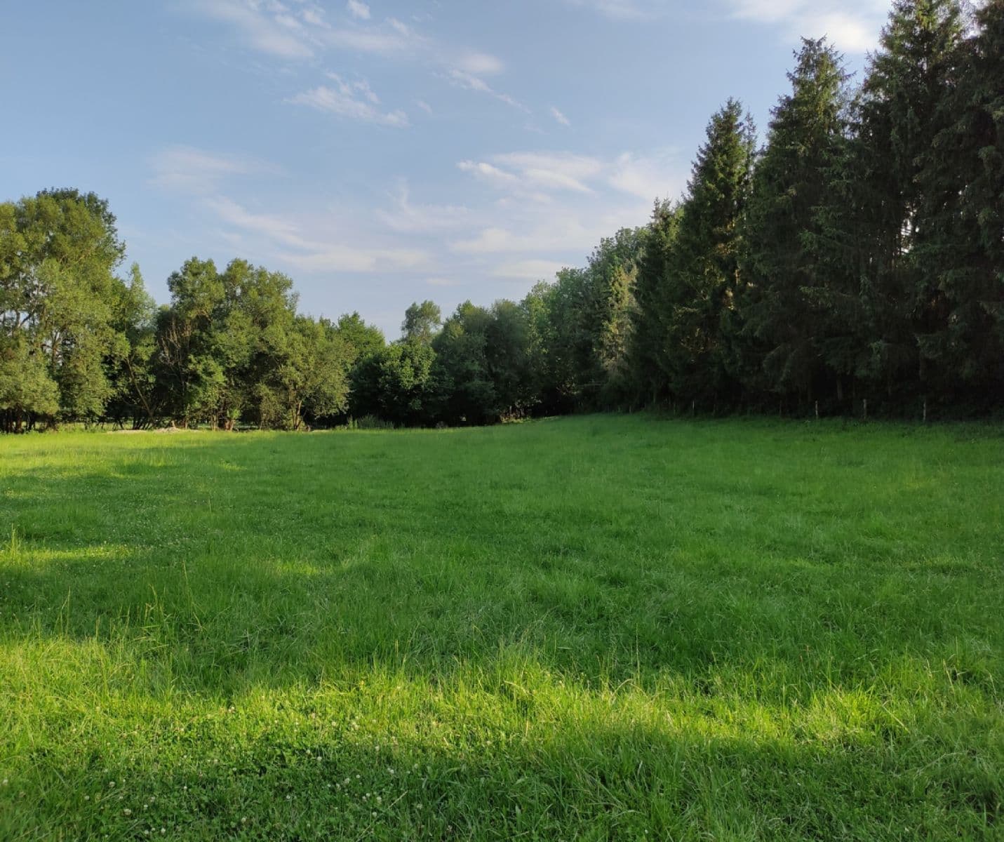 Prodej pozemku 3.974 m², Vysoké Mýto, Pardubický kraj Prodej pozemku 3.974 m², Vysoké Mýto, Pardubický kraj