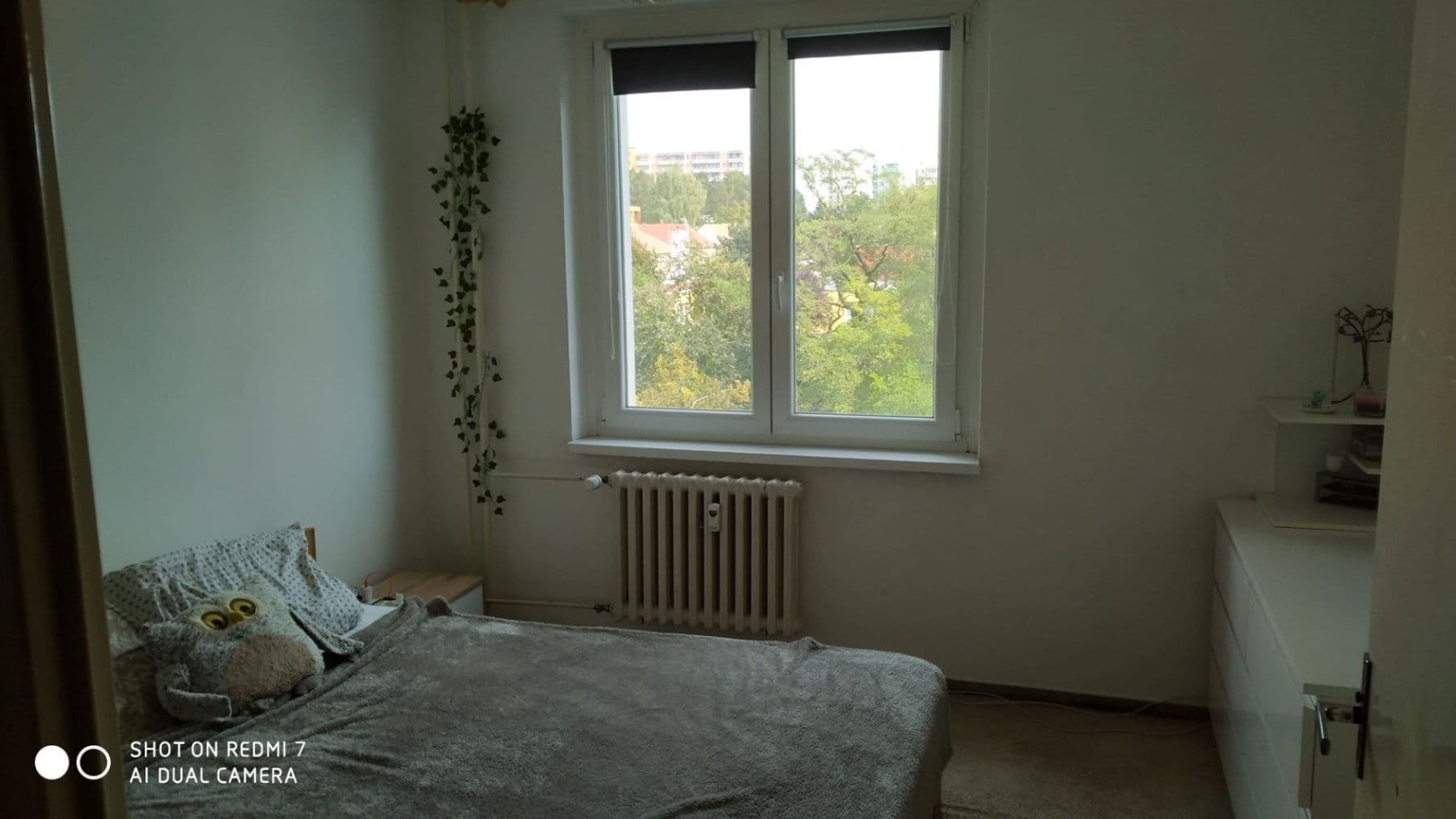 Pronájem bytu 2+kk 44 m², Spodní, Brno, Jihomoravský kraj Pronájem bytu 2+kk 44 m², Spodní, Brno, Jihomoravský kraj
