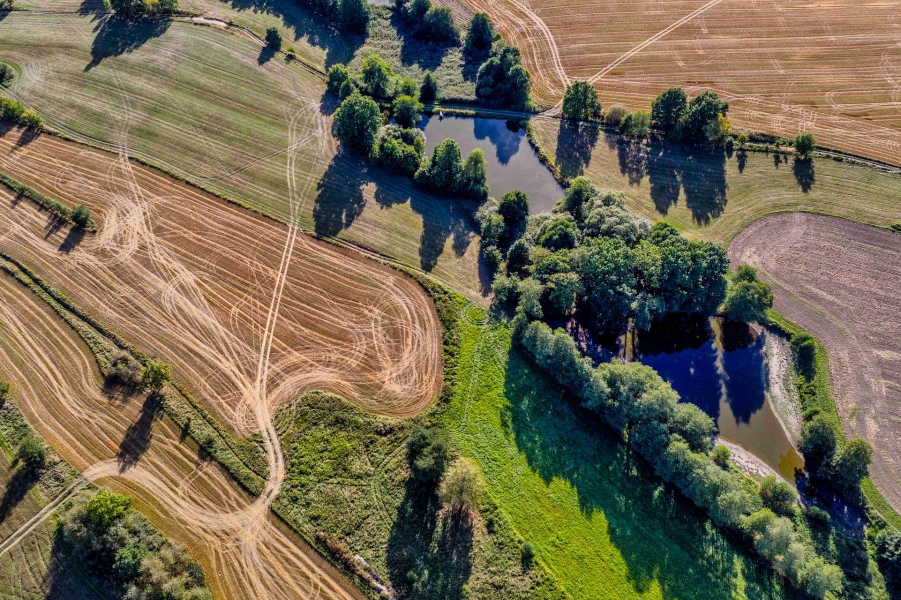 Prodej pozemku 2.102 m², Lásenice, Jihočeský kraj Prodej pozemku 2.102 m², Lásenice, Jihočeský kraj