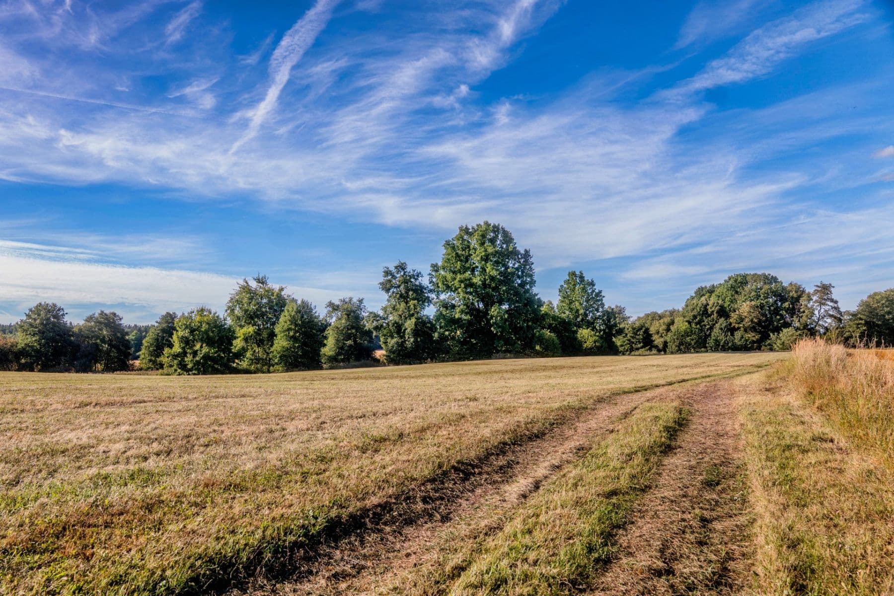Prodej pozemku 2.102 m², Lásenice, Jihočeský kraj Prodej pozemku 2.102 m², Lásenice, Jihočeský kraj