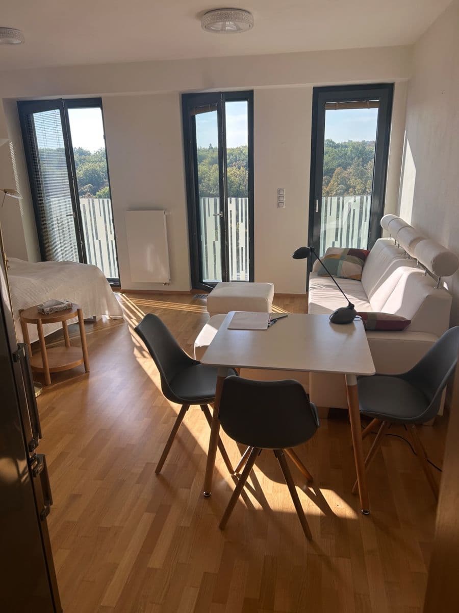 Pronájem bytu 1+kk 37 m², Olšanská, Praha, Praha Pronájem bytu 1+kk 37 m², Olšanská, Praha, Praha