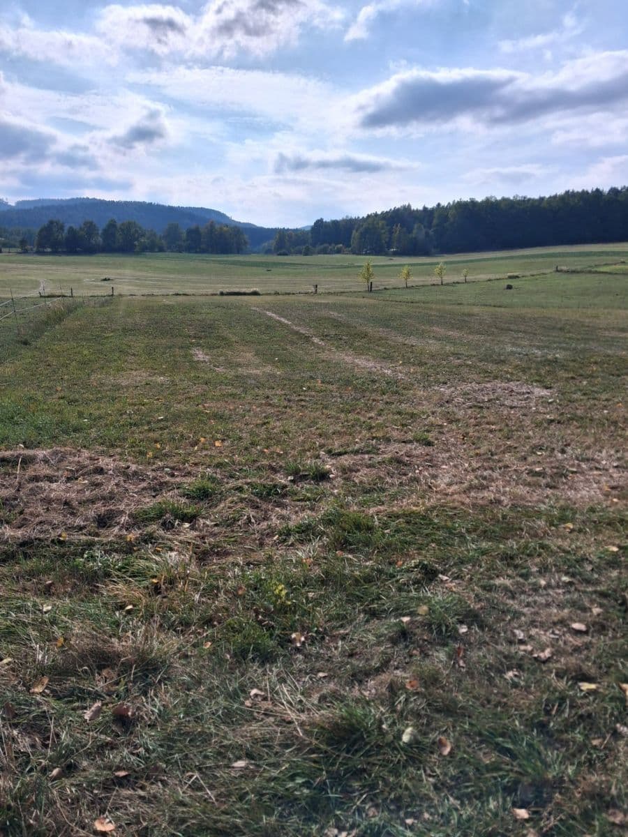 Prodej pozemku 3.266 m², Lhenice, Jihočeský kraj Prodej pozemku 3.266 m², Lhenice, Jihočeský kraj