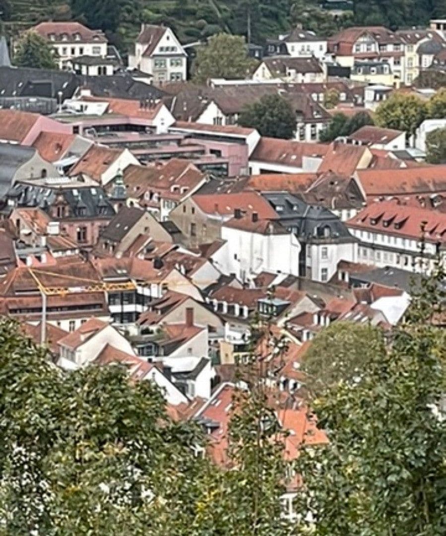 Prodej domu 144 m², pozemek 58 m², Kleine Mantelgasse, Heidelberg, Bádensko-Württembersko Prodej domu 144 m², pozemek 58 m², Kleine Mantelgasse, Heidelberg, Bádensko-Württembersko