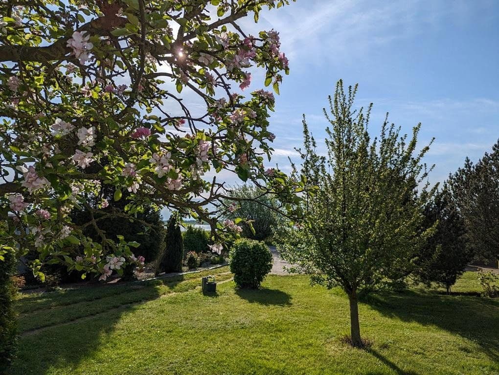 Prodej pozemku 581 m², Am Fährdorfer Berg 14 a, Insel Poel, Mecklenburg-Vorpommern Prodej pozemku 581 m², Am Fährdorfer Berg 14 a, Insel Poel, Mecklenburg-Vorpommern