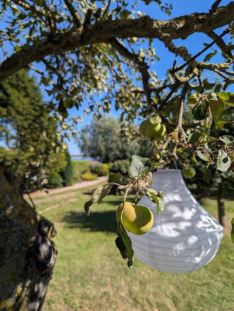 Prodej pozemku 581 m², Am Fährdorfer Berg 14 a, Insel Poel, Mecklenburg-Vorpommern Prodej pozemku 581 m², Am Fährdorfer Berg 14 a, Insel Poel, Mecklenburg-Vorpommern