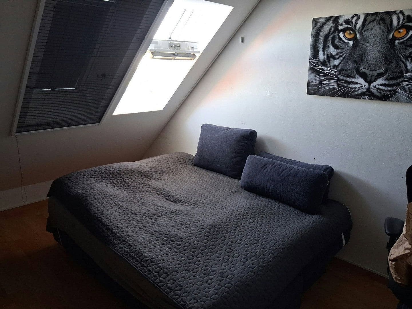 Pronájem bytu 2+1 53 m², Kirchstraße 15, Cvikov, Sasko Pronájem bytu 2+1 53 m², Kirchstraße 15, Cvikov, Sasko