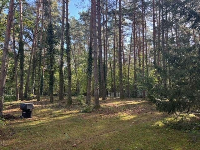 Prodej pozemku 1.900 m², Beelitz, Braniborsko Prodej pozemku 1.900 m², Beelitz, Braniborsko