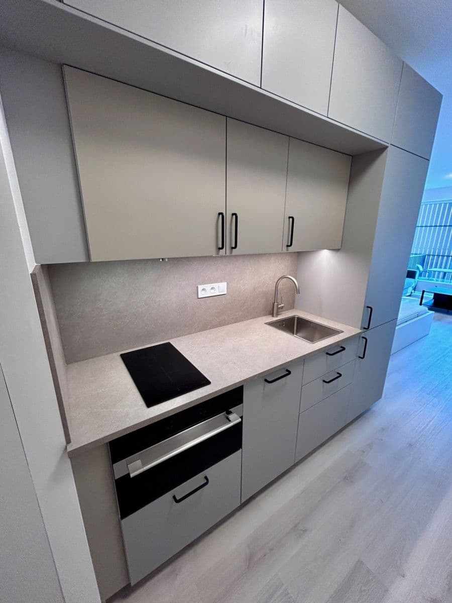 Pronájem bytu 1+kk 29 m², Dornych, Brno, Jihomoravský kraj Pronájem bytu 1+kk 29 m², Dornych, Brno, Jihomoravský kraj