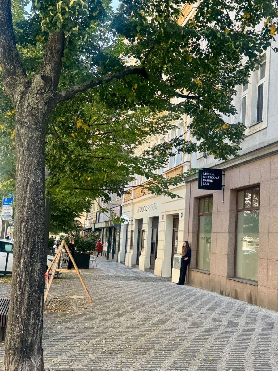 Pronájem bytu 1+kk 40 m², Na Kovárně, Praha, Praha Pronájem bytu 1+kk 40 m², Na Kovárně, Praha, Praha