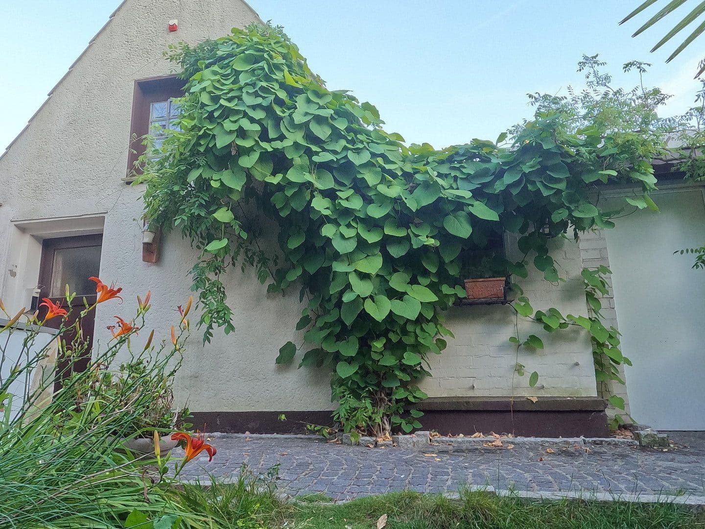 Prodej domu 130 m², pozemek 764 m², Duisburg, Severní Porýní-Vestfálsko Prodej domu 130 m², pozemek 764 m², Duisburg, Severní Porýní-Vestfálsko
