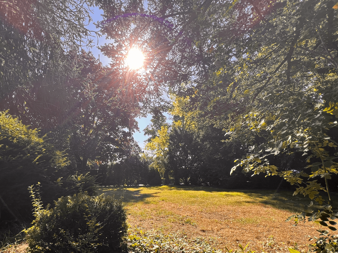 Pronájem domu 167 m², pozemek 1.352 m², Zum Dicken Busch 65, Barsbüttel, Šlesvicko-Holštýnsko Pronájem domu 167 m², pozemek 1.352 m², Zum Dicken Busch 65, Barsbüttel, Šlesvicko-Holštýnsko