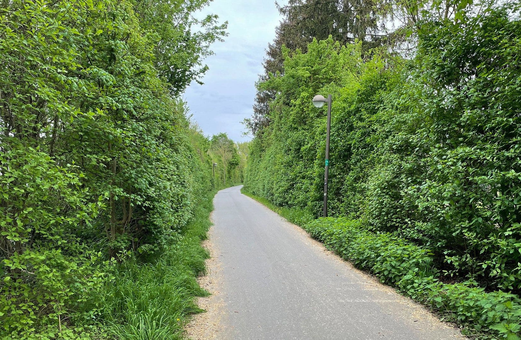 Pronájem bytu 3+1 61 m², Dieburg, Hessen Pronájem bytu 3+1 61 m², Dieburg, Hessen