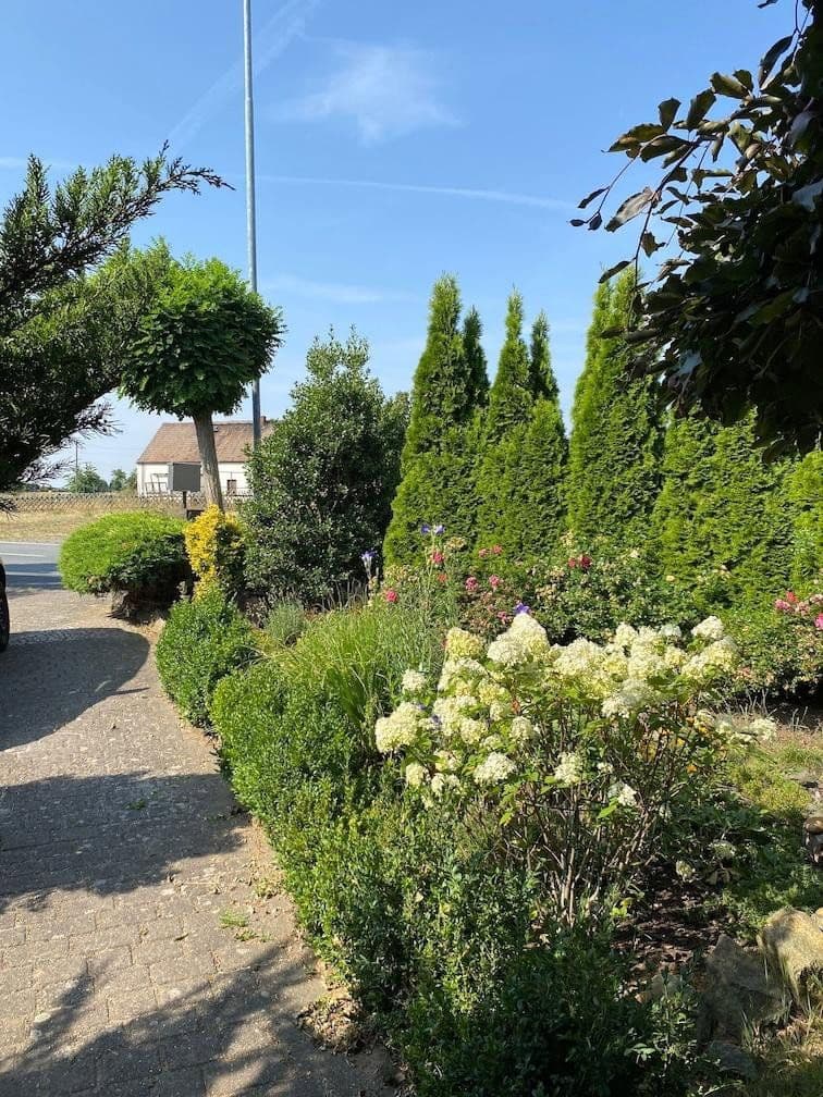 Prodej domu 110 m², pozemek 587 m², Torgauer Str.32c, Strehla, Sasko Prodej domu 110 m², pozemek 587 m², Torgauer Str.32c, Strehla, Sasko