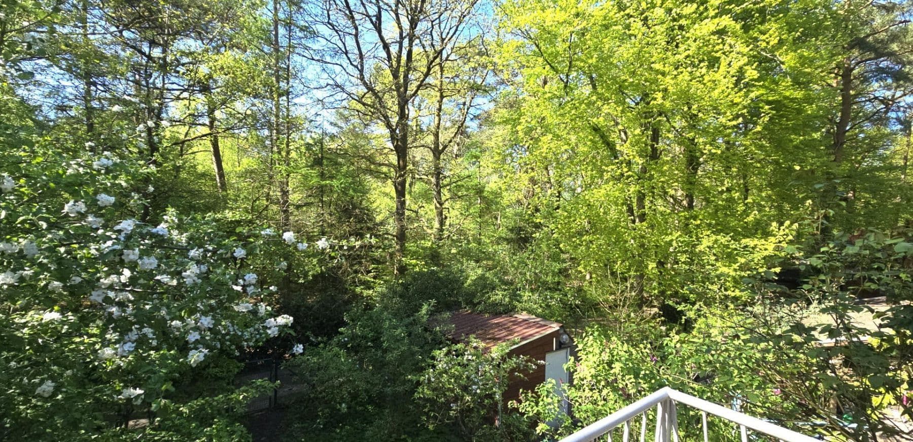 Prodej domu 398 m², pozemek 5.380 m², Wenzendorf, Dolní Sasko Prodej domu 398 m², pozemek 5.380 m², Wenzendorf, Dolní Sasko