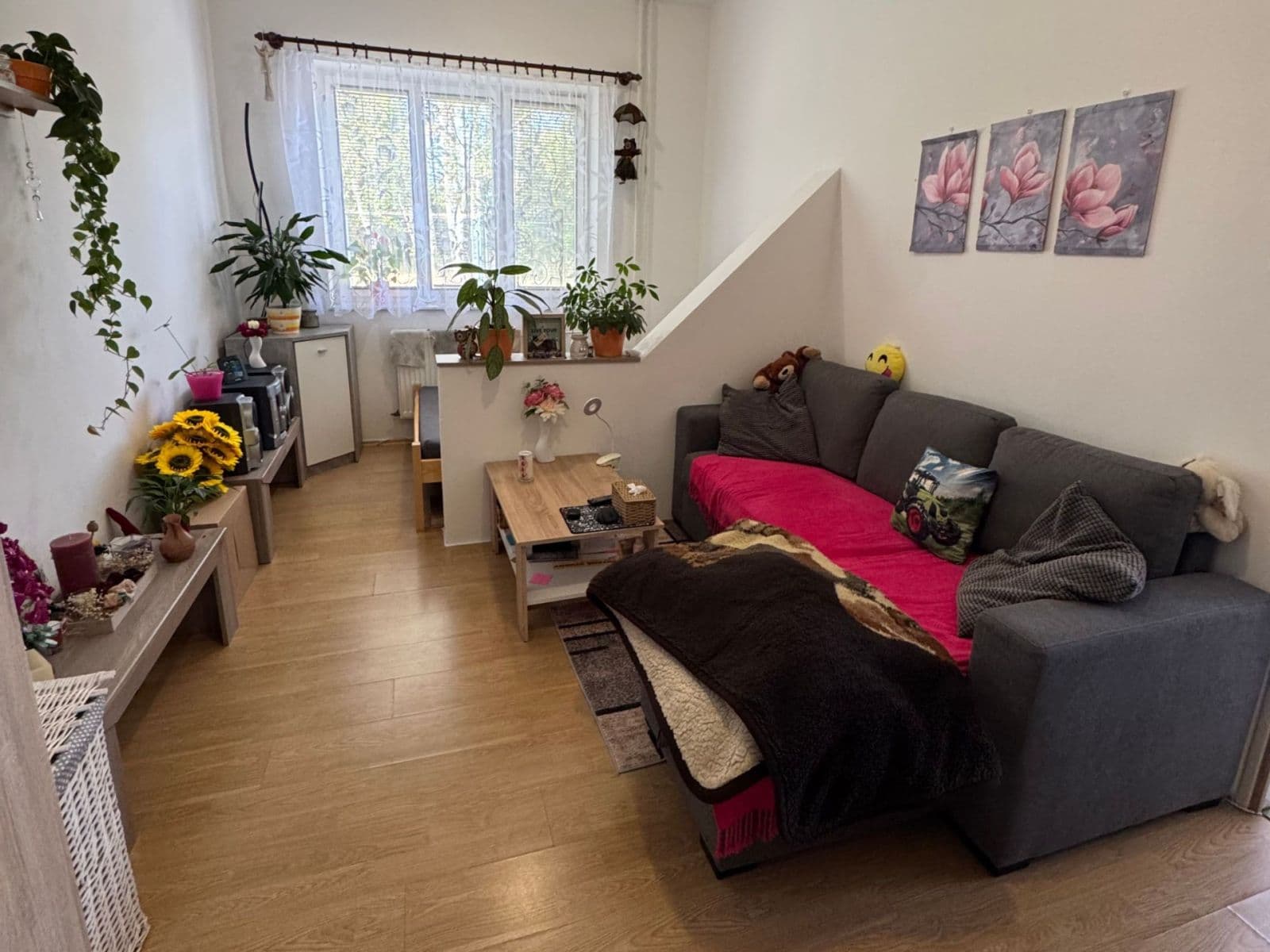 Pronájem bytu 2+1 47 m², sídliště Na Pražské, Suchdol nad Lužnicí, Jihočeský kraj Pronájem bytu 2+1 47 m², sídliště Na Pražské, Suchdol nad Lužnicí, Jihočeský kraj