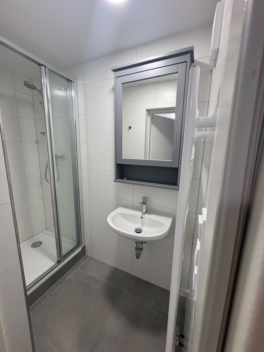 Pronájem bytu 2+kk 56 m², Čápkova, Brno, Jihomoravský kraj Pronájem bytu 2+kk 56 m², Čápkova, Brno, Jihomoravský kraj