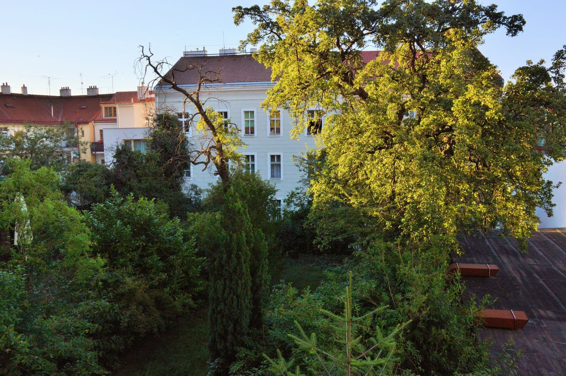 Pronájem bytu 54 m², Seifertova, Praha, Praha Pronájem bytu 54 m², Seifertova, Praha, Praha