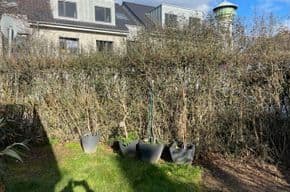 Prodej domu 134 m², pozemek 319 m², Wesseling, Severní Porýní-Vestfálsko Prodej domu 134 m², pozemek 319 m², Wesseling, Severní Porýní-Vestfálsko