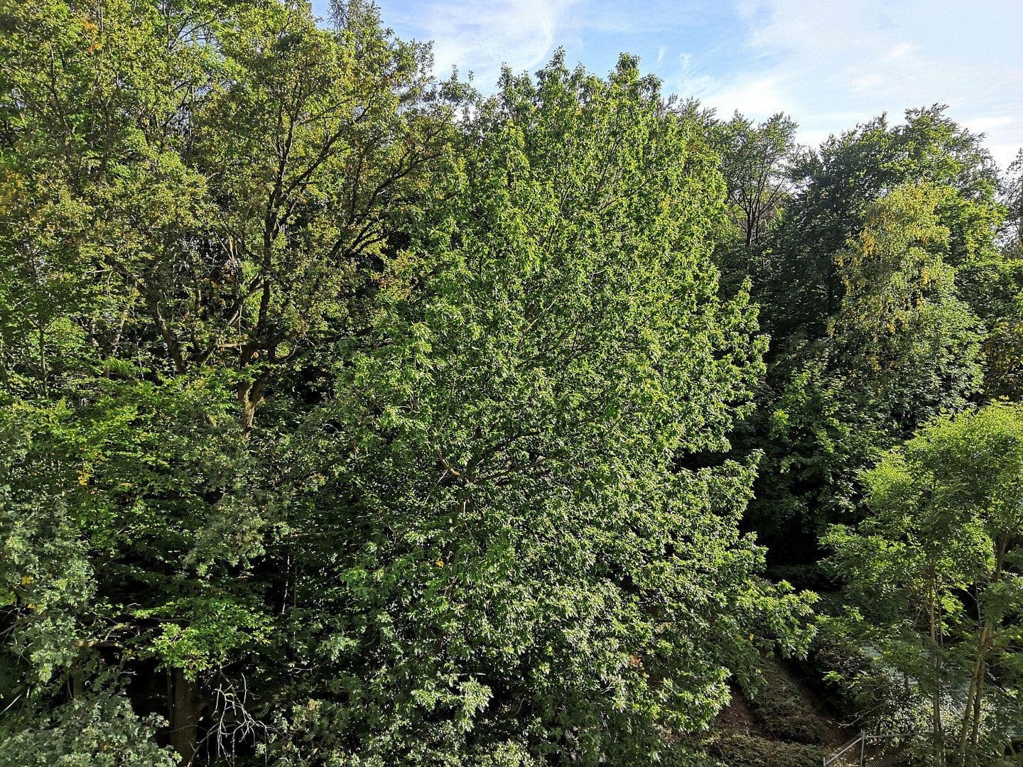 Prodej bytu 2+kk 67 m², Im Asemwald 22, Auenwald, Bádensko-Württembersko Prodej bytu 2+kk 67 m², Im Asemwald 22, Auenwald, Bádensko-Württembersko