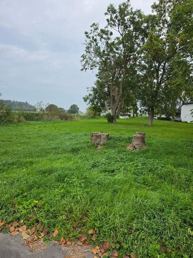 Prodej pozemku 1.298 m², Zehlen 4, Bergen auf Rügen, Mecklenburg-Vorpommern Prodej pozemku 1.298 m², Zehlen 4, Bergen auf Rügen, Mecklenburg-Vorpommern